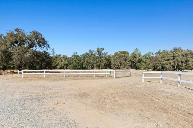 a view of a outdoor space with lots of trees in the background