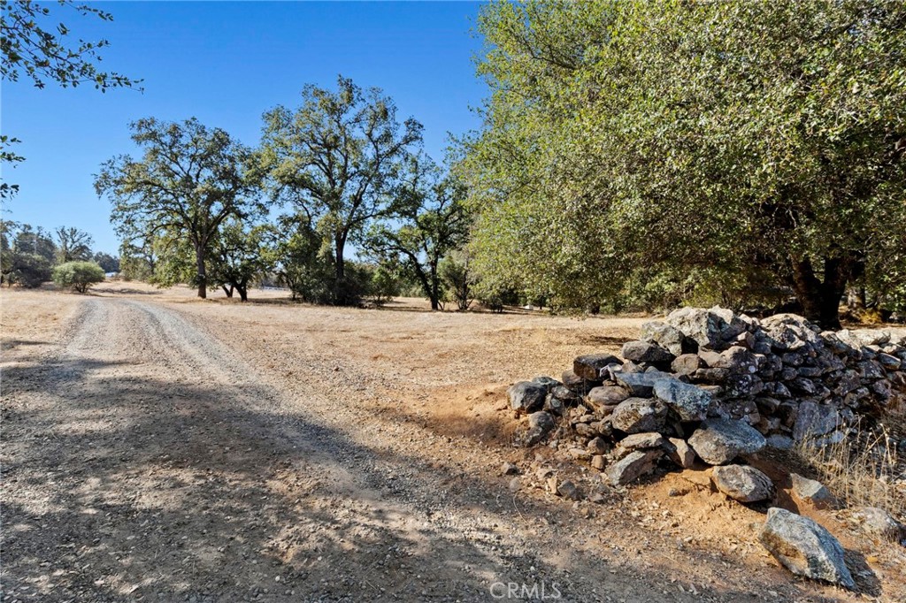 75 Obert Drive Bangor, CA 95914 - Photo 34 of 52 a view of side of a yard