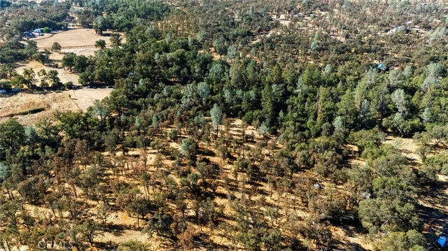 a view of a small yard