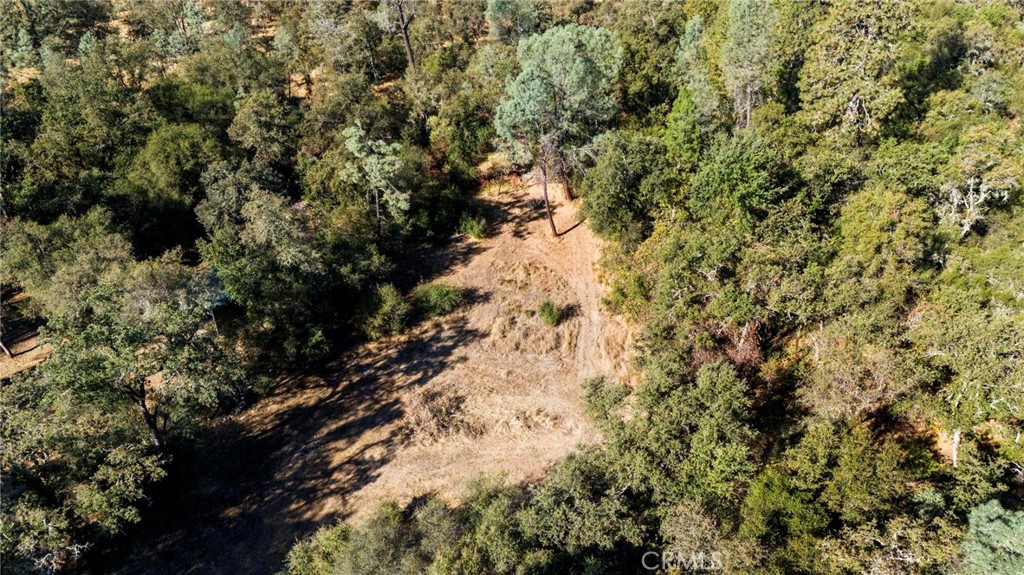 75 Obert Drive Bangor, CA 95914 - Photo 50 of 52 a view of a tree in a yard