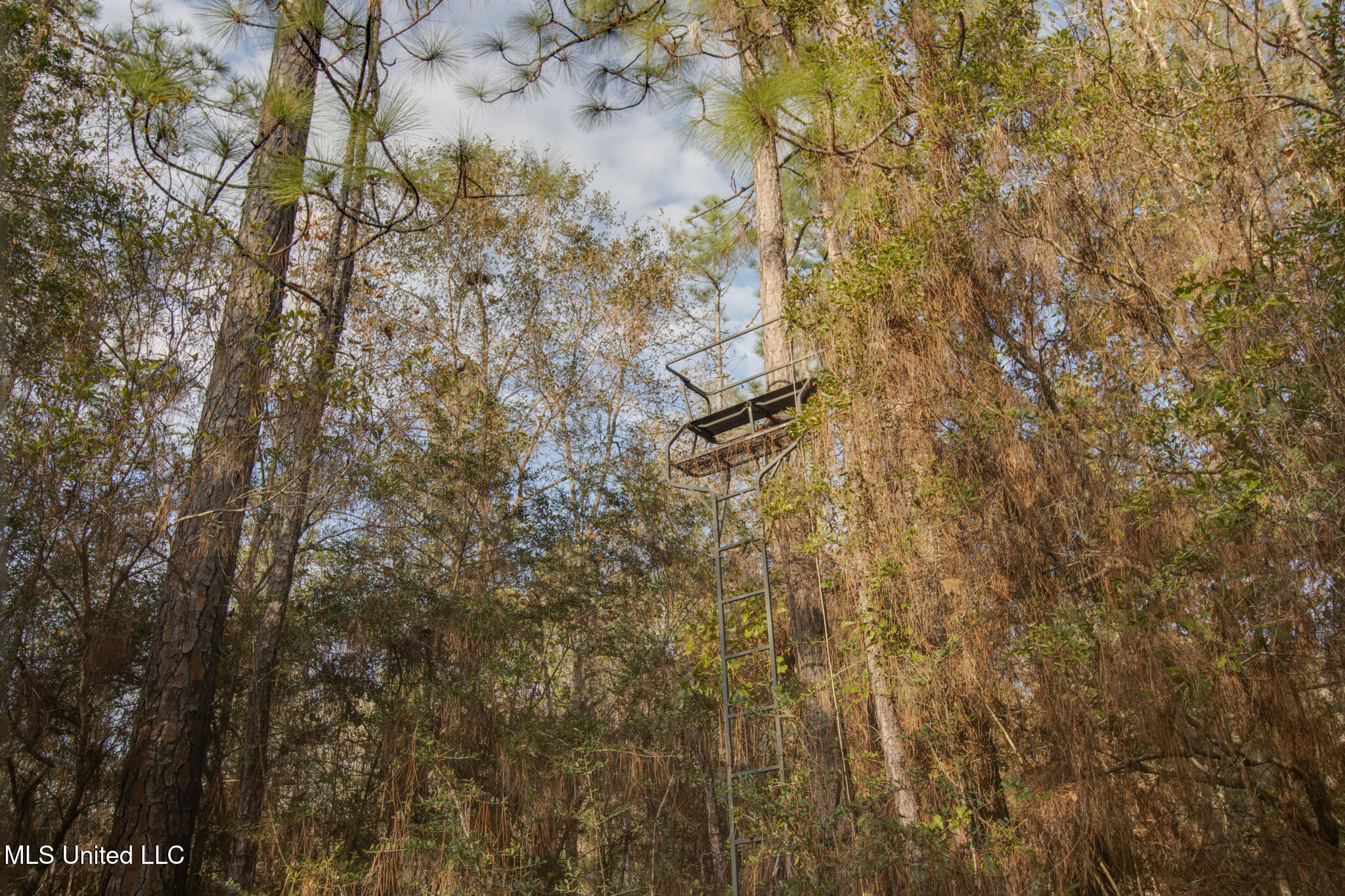 24324 McHenry Road Saucier, MS 39574 - Photo 20 of 21 McHenry-17