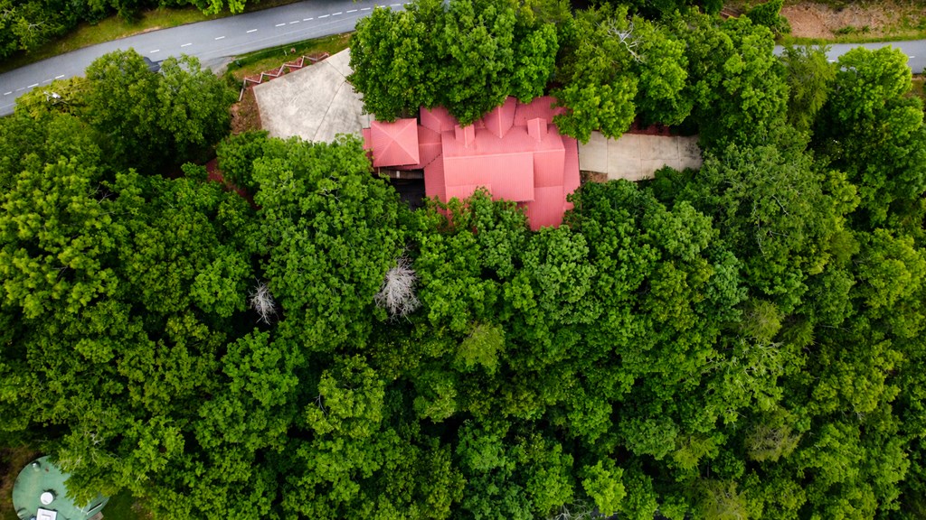 629 My Mountain Road Morganton, GA 30560 - Photo 5 of 39