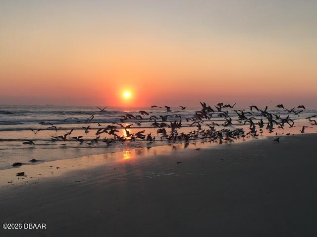 4873 South Atlantic Avenue Ponce Inlet, FL 32127 - Photo 28 of 28