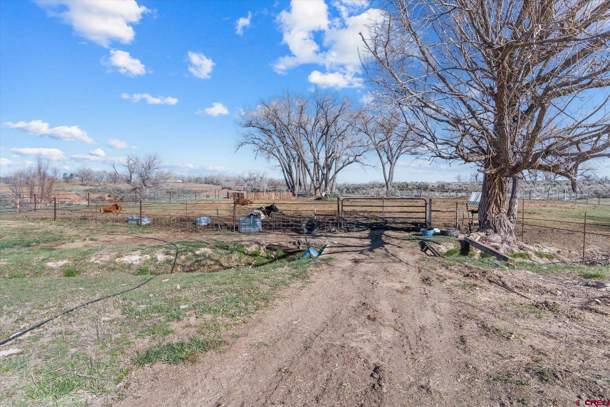 25325 County Rd M Cortez, CO 81321 - Photo 29 of 41