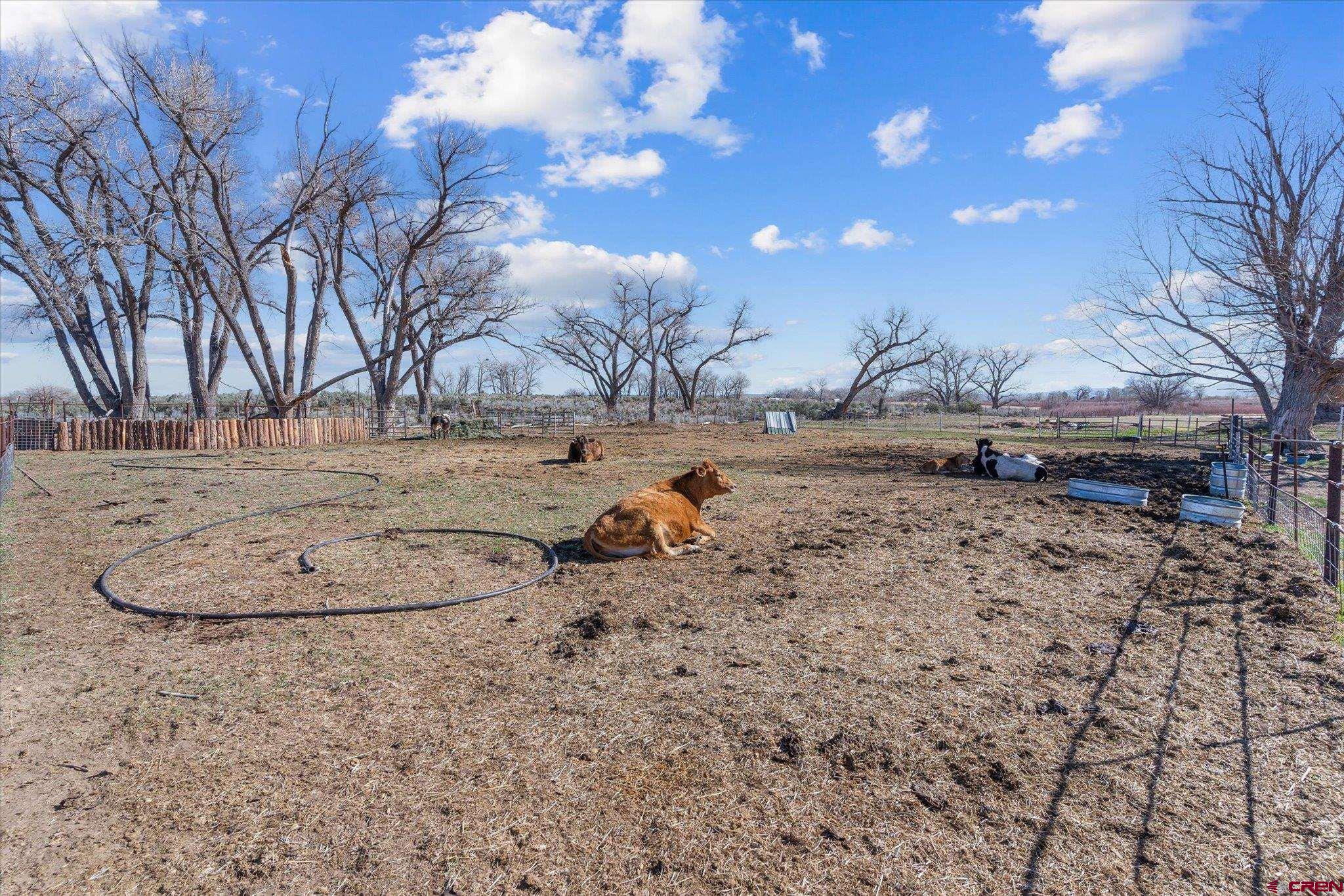 25325 County Rd M Cortez, CO 81321 - Photo 32 of 41