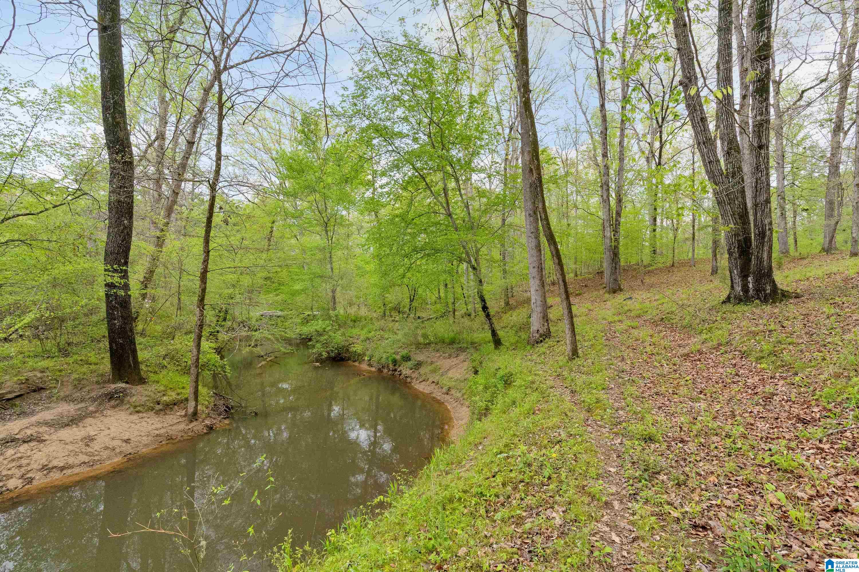 3110 Highway 69 Chelsea, AL 35043 - Photo 33 of 36