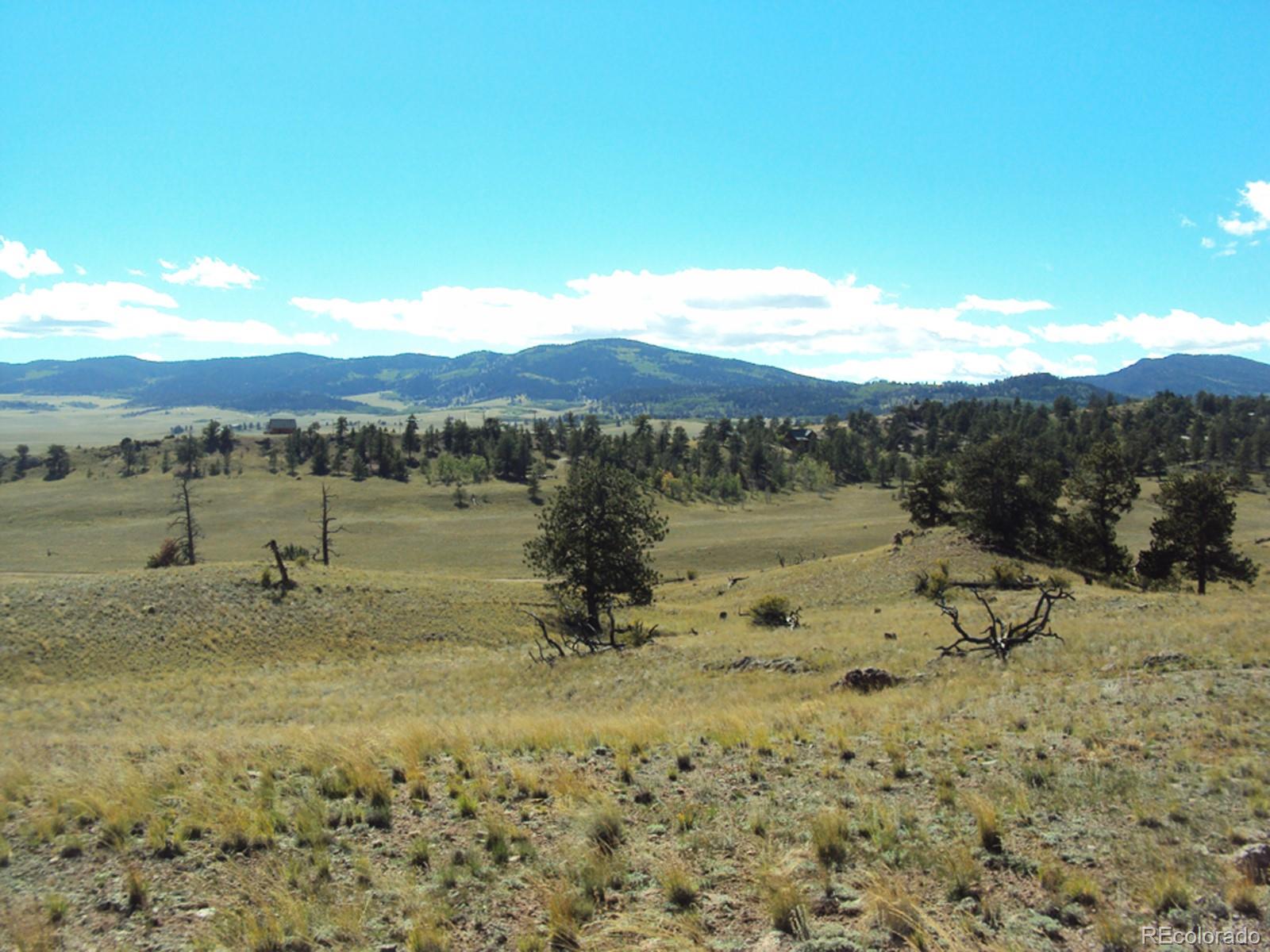 68 Hobble Way Hartsel, CO 80449 - Photo 1 of 1 Gallery Image 1