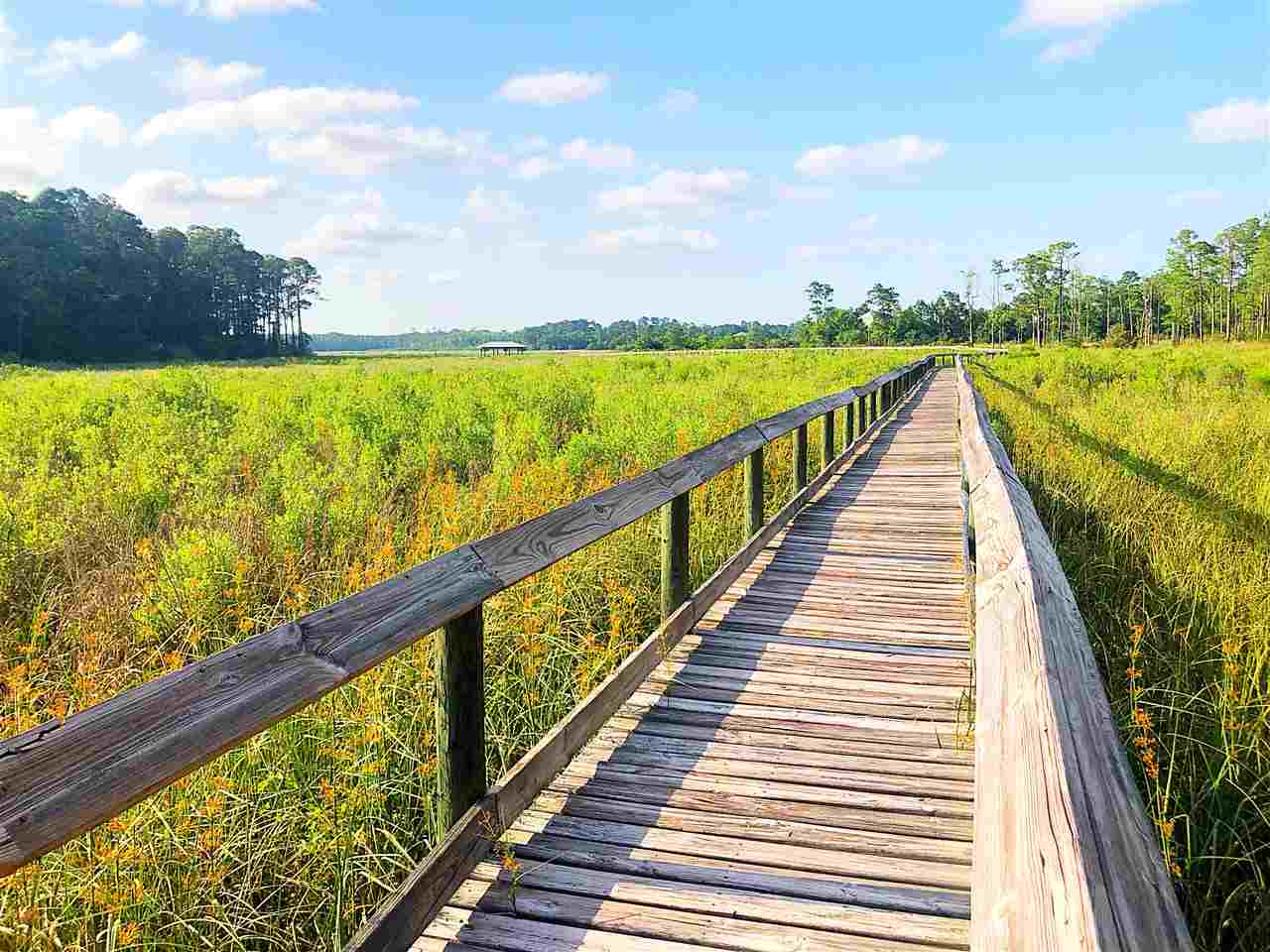 18706 Treasure Oaks Road Gulf Shores, AL 36542 - Photo 10 of 17