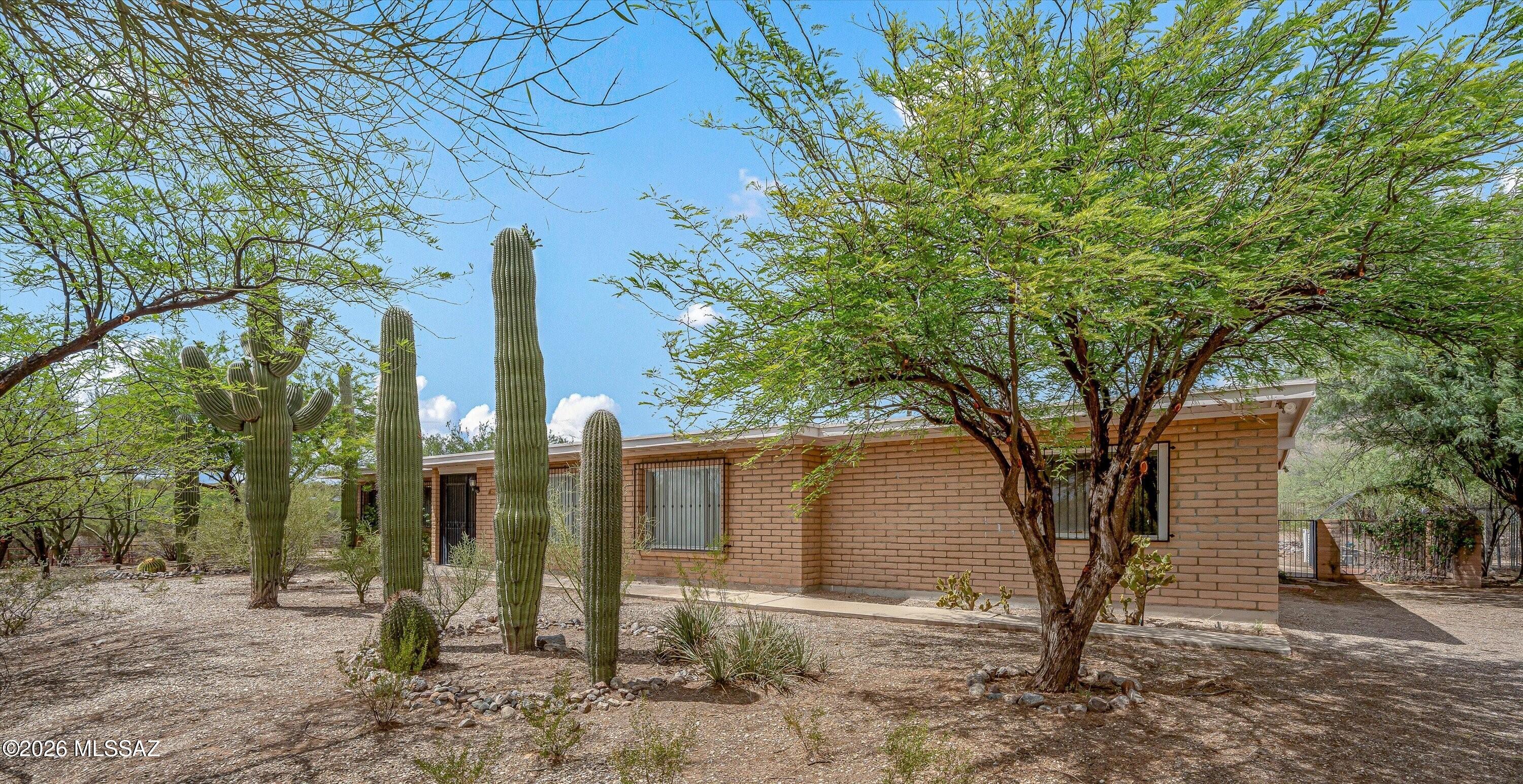 10961 East Roger Road Tucson, AZ 85749 - Photo 5 of 45 Abundant saguaros