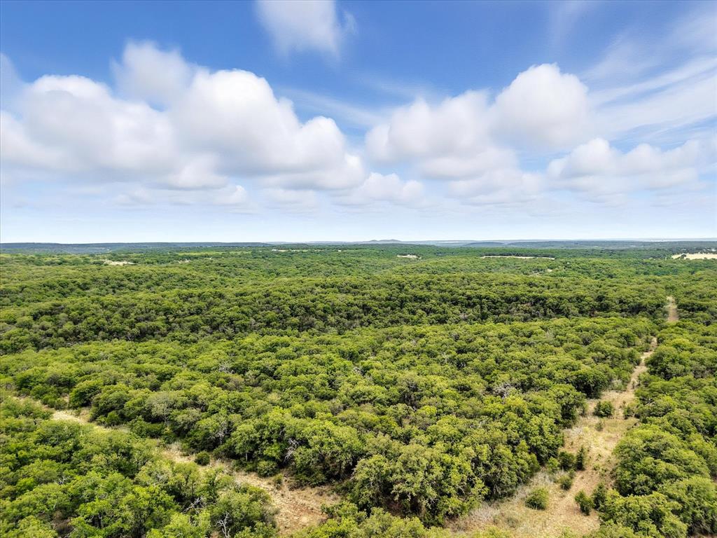 0 Hoefle Road Jacksboro, TX 76458 - Photo 18 of 40 a view of a green field