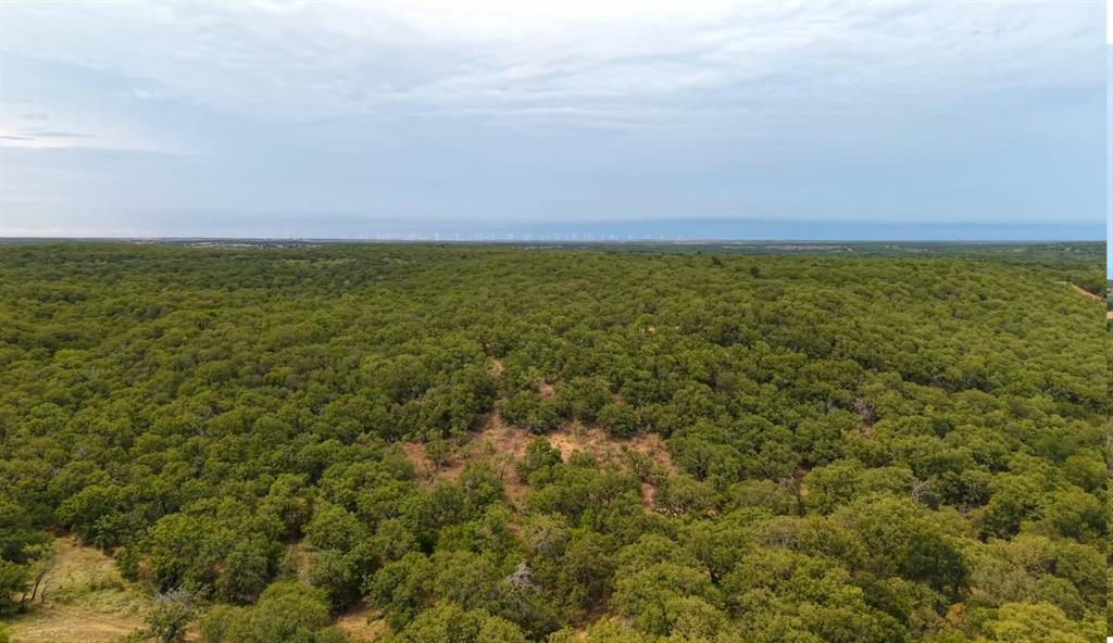 0 Hoefle Road Jacksboro, TX 76458 - Photo 33 of 40 a view of outdoor space and yard