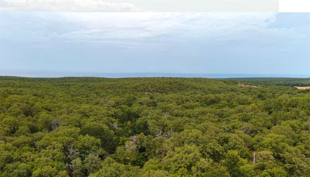 0 Hoefle Road Jacksboro, TX 76458 - Photo 34 of 40 a view of an ocean beach