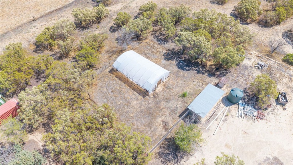 38855 Howard Road Anza, CA 92539 - Photo 44 of 54 a view of a tree in a yard