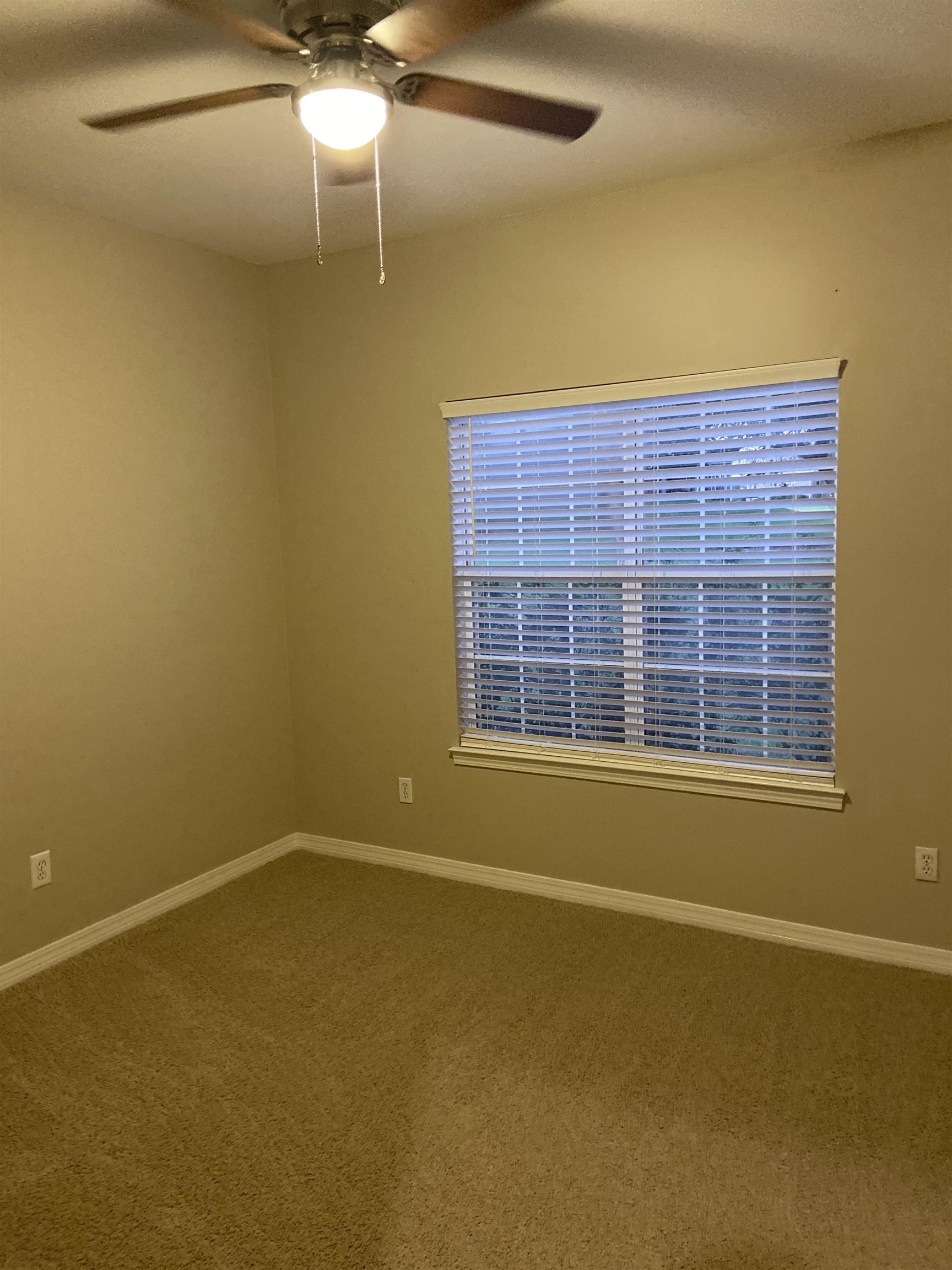 23045 County Road 12 South Foley, AL 36535 - Photo 12 of 32