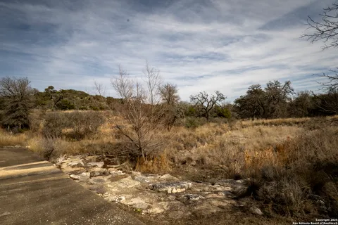 a view of a dry yard with trees