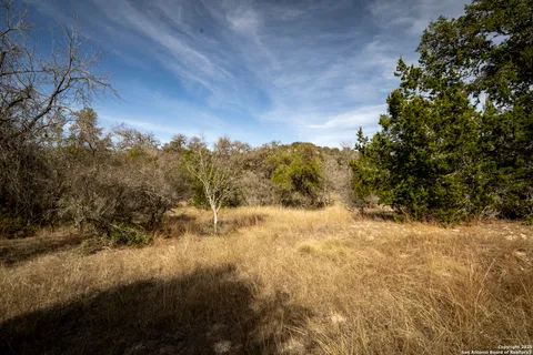 a view of a yard with trees