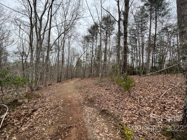 0 Matthew Church Road Rutherfordton, NC 28139 - Photo 12 of 24 a view of backyard with green space