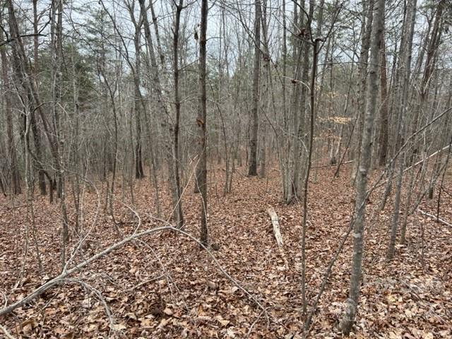 0 Matthew Church Road Rutherfordton, NC 28139 - Photo 13 of 24