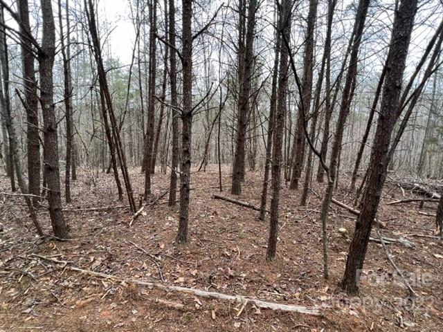 0 Matthew Church Road Rutherfordton, NC 28139 - Photo 14 of 24 a view of a forest with trees in the background