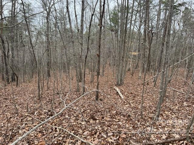 0 Matthew Church Road Rutherfordton, NC 28139 - Photo 15 of 24 a view of small space with lots of trees