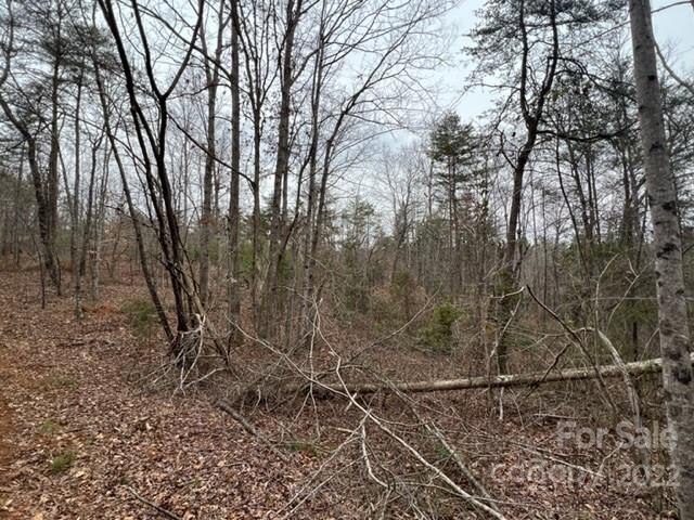 0 Matthew Church Road Rutherfordton, NC 28139 - Photo 18 of 24 a backyard of a house with lots of green space