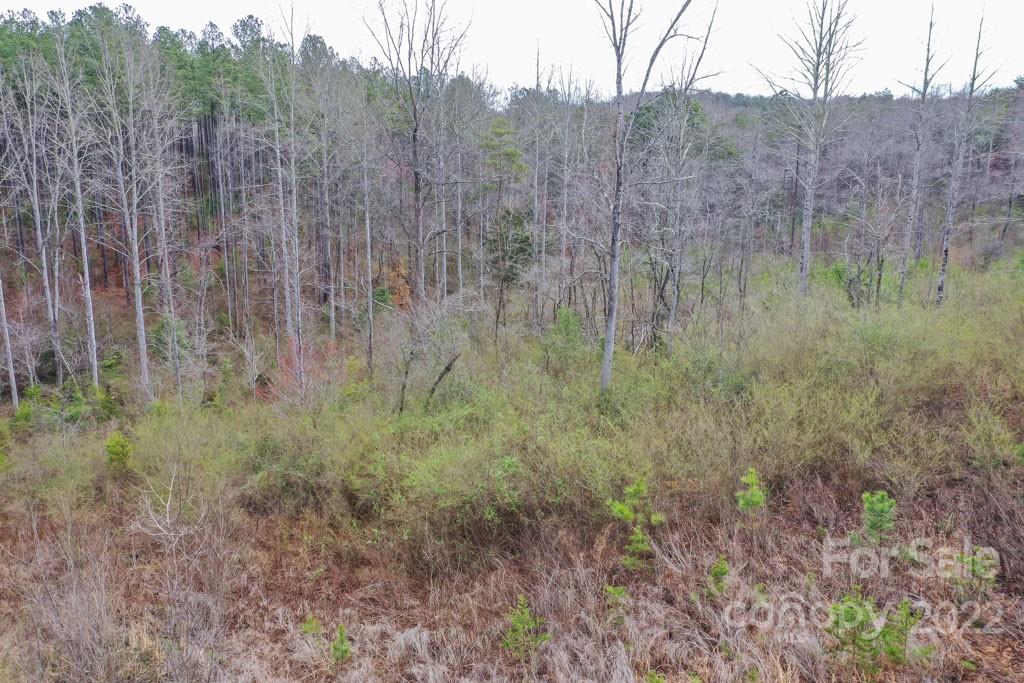 0 Matthew Church Road Rutherfordton, NC 28139 - Photo 20 of 24 a view of a lush green forest with a house in the background