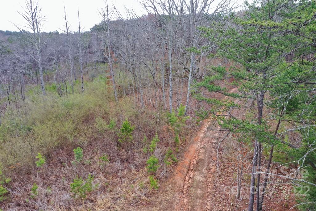 0 Matthew Church Road Rutherfordton, NC 28139 - Photo 2 of 24 a view of a yard with a tree