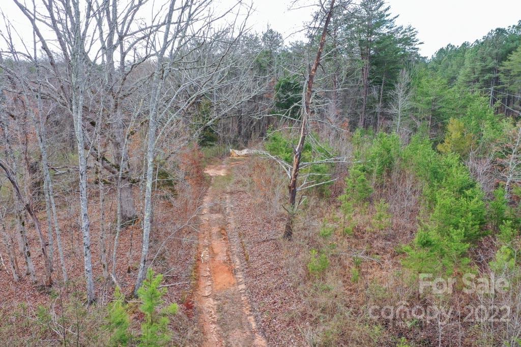 0 Matthew Church Road Rutherfordton, NC 28139 - Photo 21 of 24 a view of a forest filled with trees