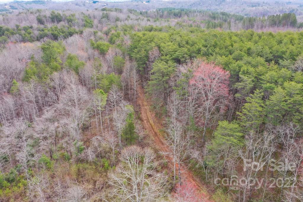 0 Matthew Church Road Rutherfordton, NC 28139 - Photo 22 of 24 a view of a forest with a lake