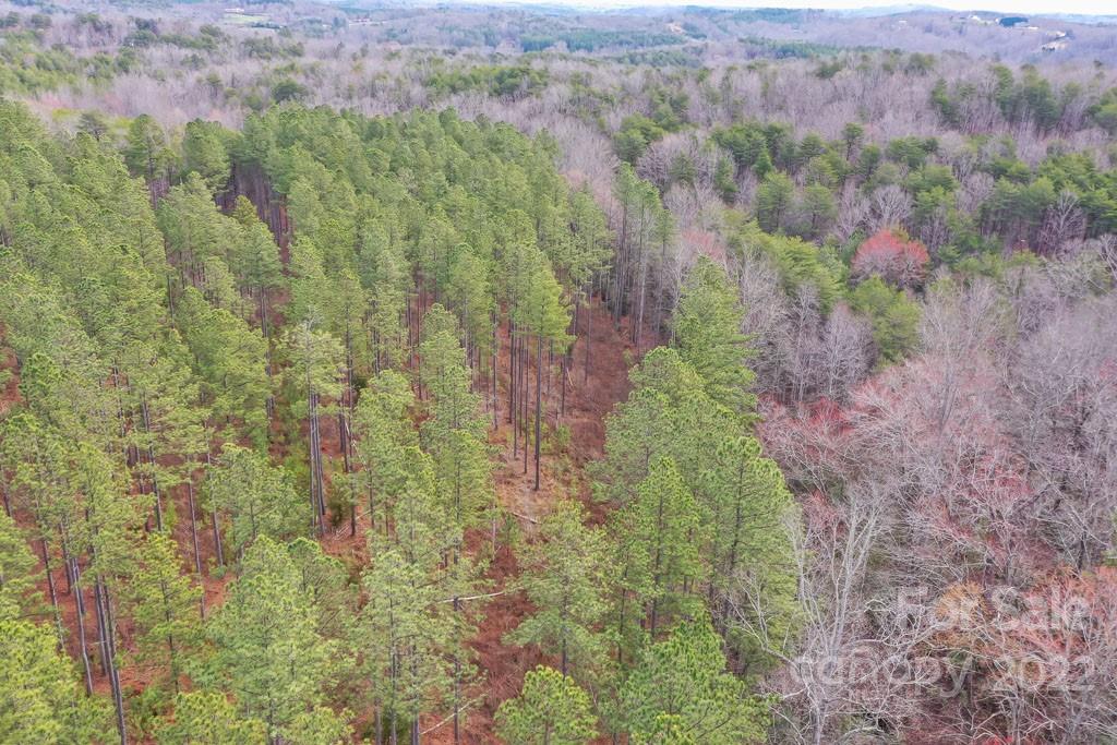 0 Matthew Church Road Rutherfordton, NC 28139 - Photo 23 of 24 a map view of a forest