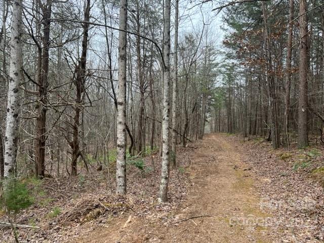 0 Matthew Church Road Rutherfordton, NC 28139 - Photo 3 of 24 a view of a forest with trees in the background