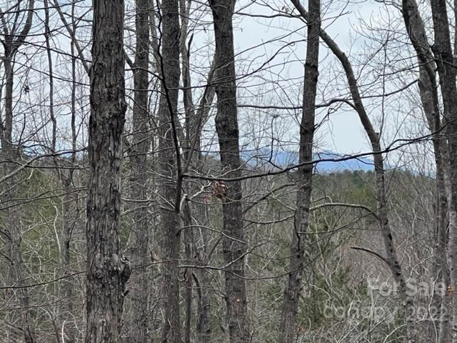 0 Matthew Church Road Rutherfordton, NC 28139 - Photo 4 of 24 a backyard of a house with lots of green space