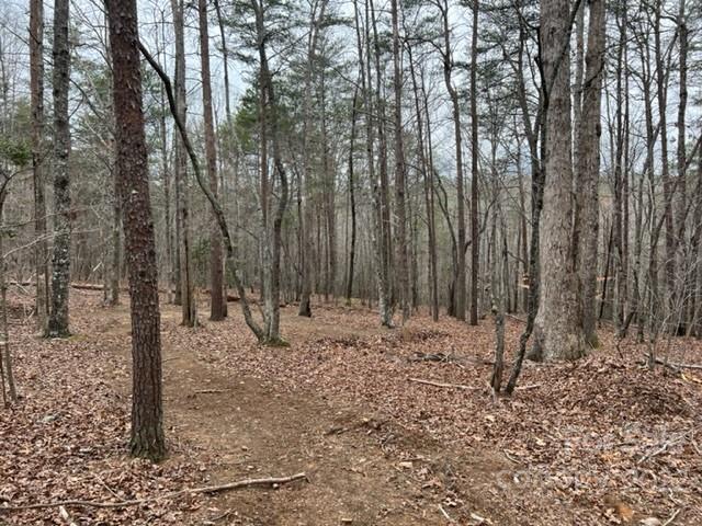 0 Matthew Church Road Rutherfordton, NC 28139 - Photo 5 of 24 a view of a backyard of the house