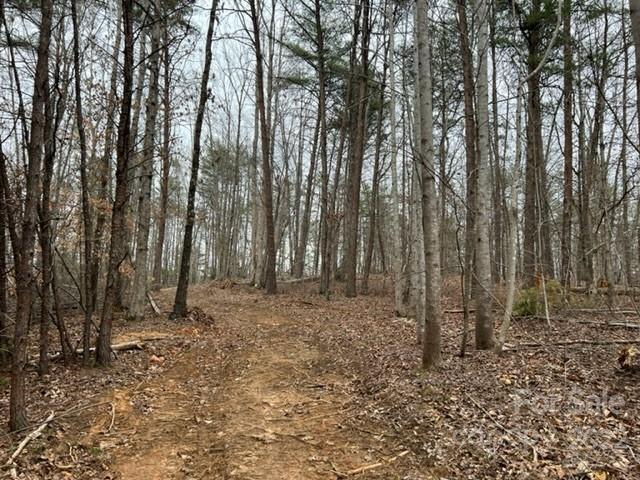 0 Matthew Church Road Rutherfordton, NC 28139 - Photo 6 of 24 a view of outdoor space with lots of trees