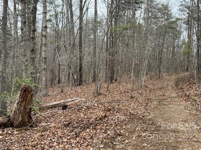 0 Matthew Church Road Rutherfordton, NC 28139 - Photo 7 of 24 a view of a yard with trees in it