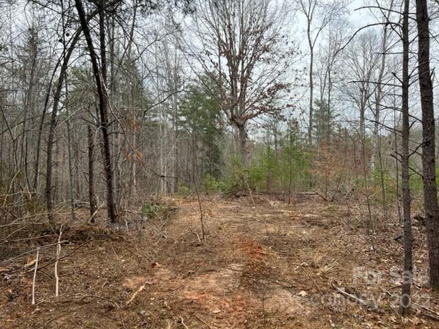 0 Matthew Church Road Rutherfordton, NC 28139 - Photo 8 of 24 a view of a dry yard with trees