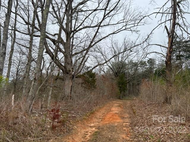 0 Matthew Church Road Rutherfordton, NC 28139 - Photo 10 of 24 a backyard of a house with lots of green space