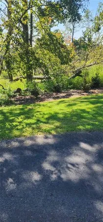 a view of a yard with a tree