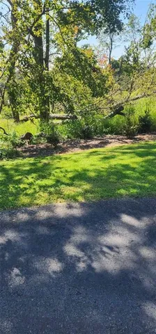 a view of a yard with a tree