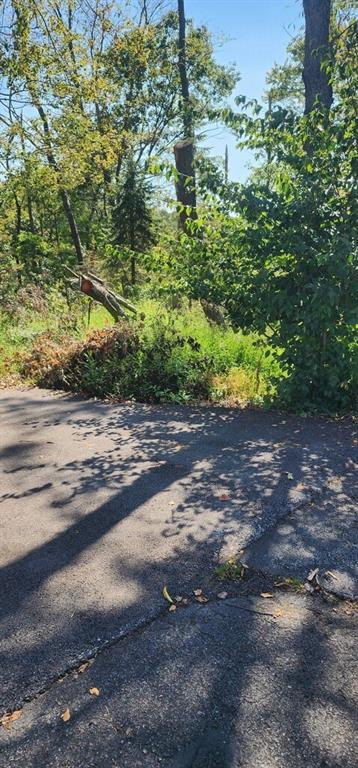 0 Watson Road Apollo, PA 15613 - Photo 2 of 3 a view of a yard with plants and tree