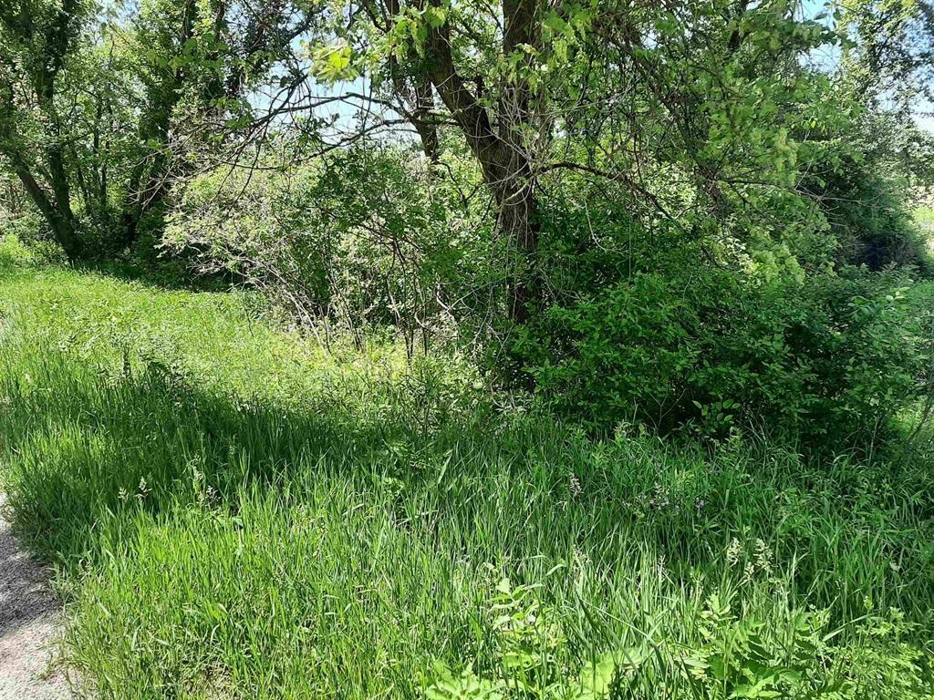 18-acres 18-acres Shady Lane Reedsburg, WI 53959 - Photo 2 of 6