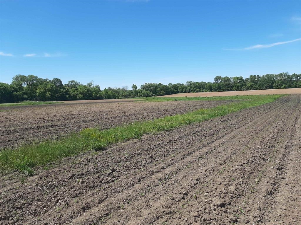 18-acres 18-acres Shady Lane Reedsburg, WI 53959 - Photo 3 of 6