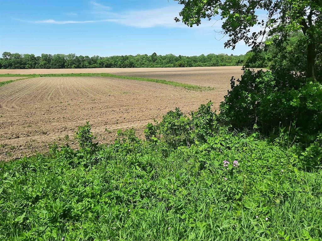18-acres 18-acres Shady Lane Reedsburg, WI 53959 - Photo 4 of 6