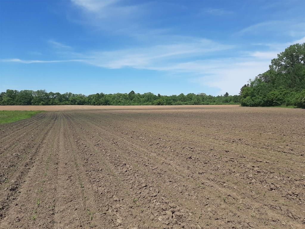 18-acres 18-acres Shady Lane Reedsburg, WI 53959 - Photo 5 of 6