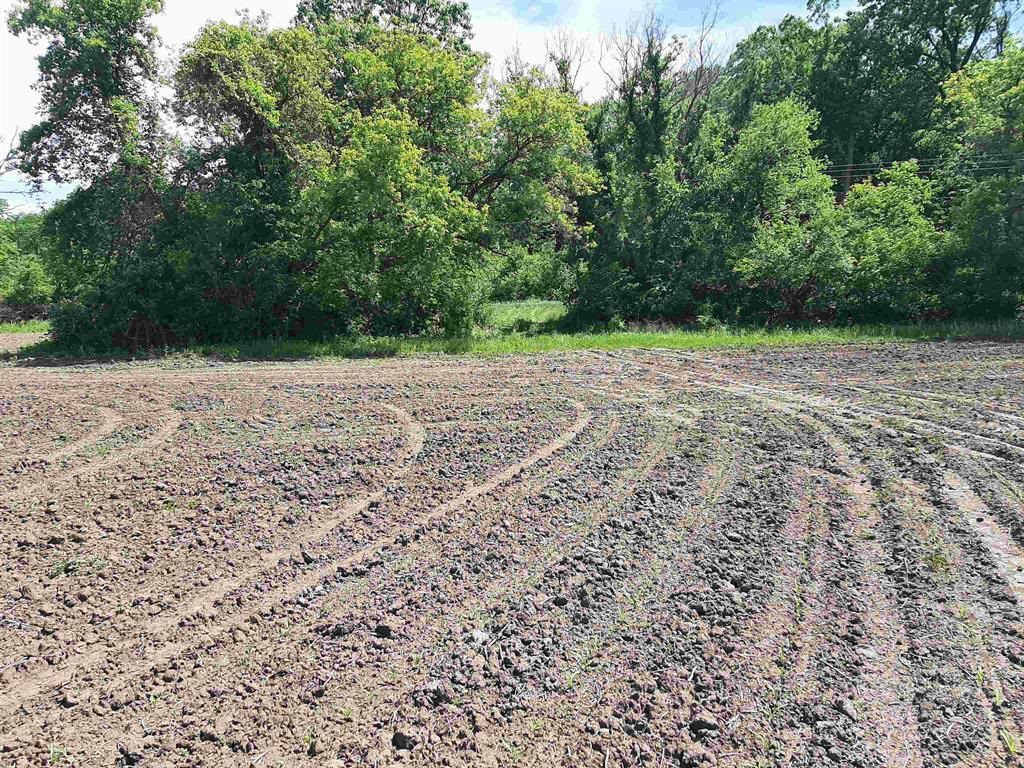 18-acres 18-acres Shady Lane Reedsburg, WI 53959 - Photo 6 of 6