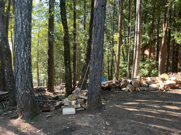 a view of backyard with green space