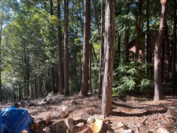 a view of outdoor space with trees