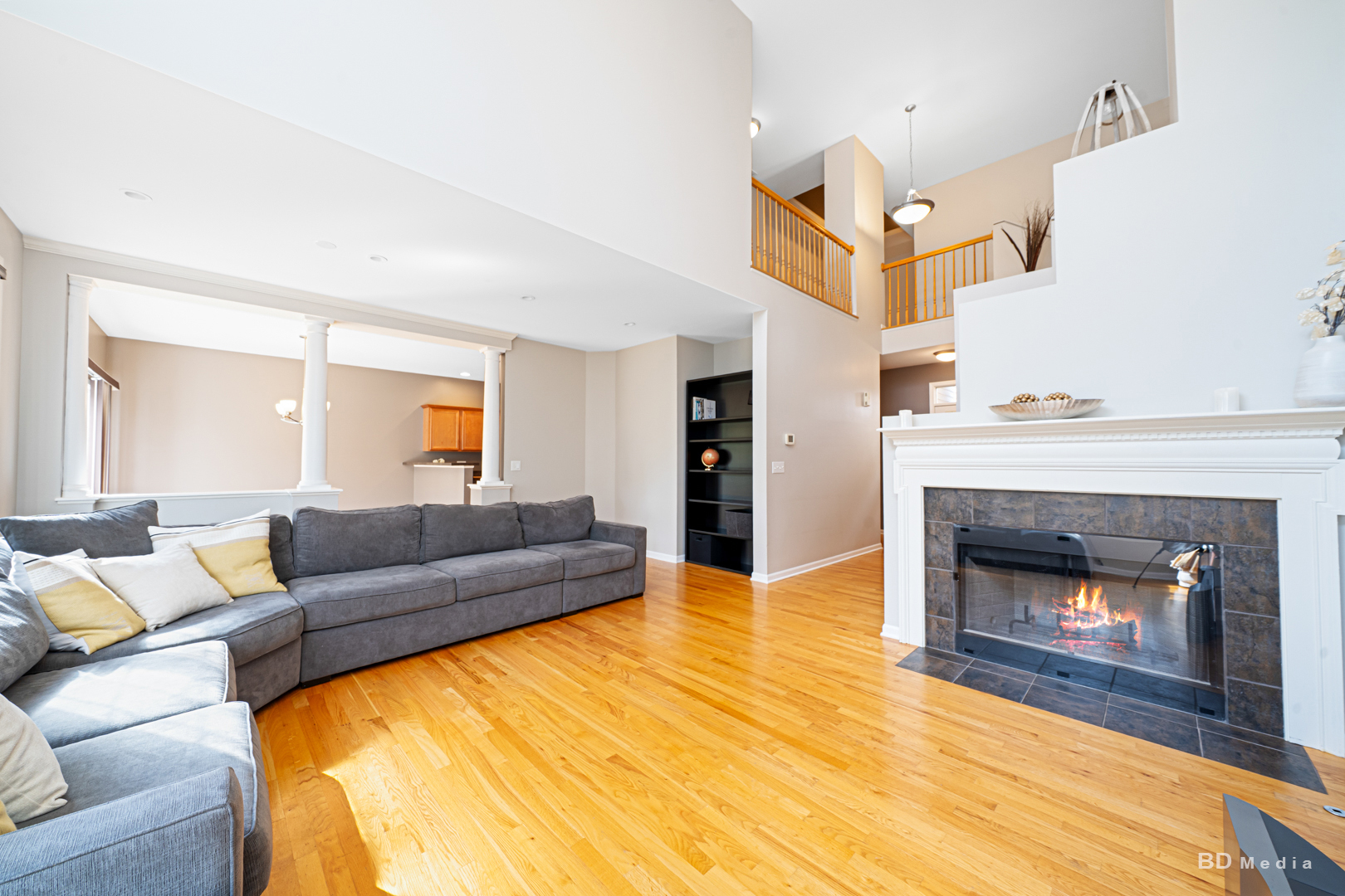 1603 Spyglass Circle Palos Heights, IL 60463 - Photo 9 of 51 a living room with furniture and a fireplace