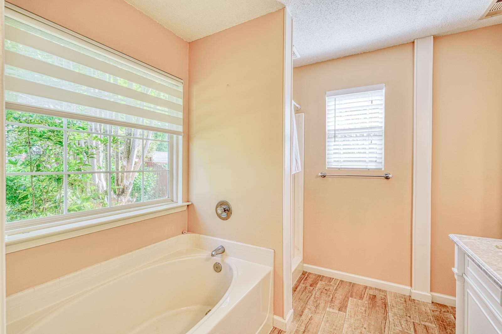 307 Valhalla Lane Simpsonville, SC 29681 - Photo 30 of 47 Gallery Image 30