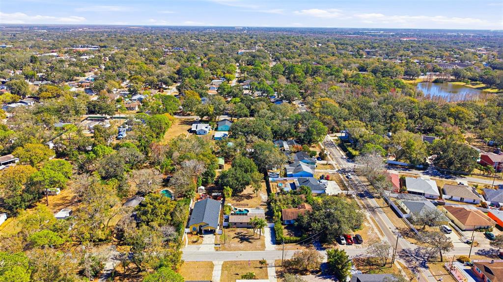 10405 North Woodmere Road Tampa, FL 33617 - Photo 48 of 58